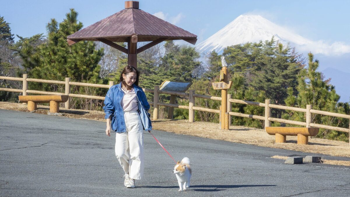 ホテルラフォーレ修善寺 山紫水明 photo