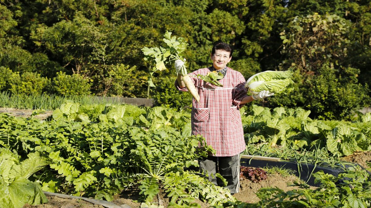 柿本家 photo