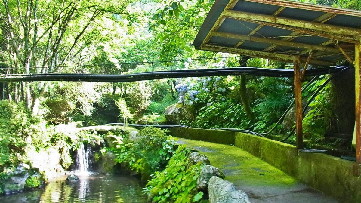 淡水荘 photo