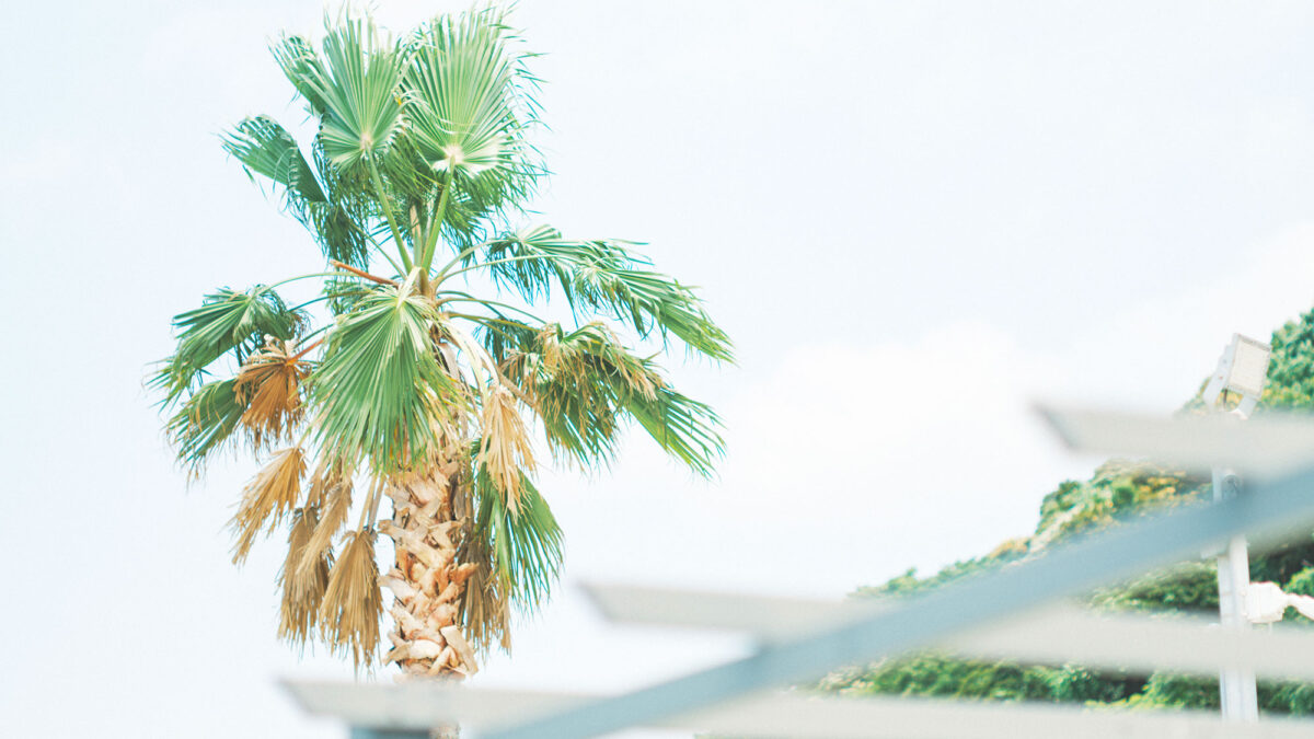 THE TRAILERHOUSE VILLAGE 呼子 SEASIDE photo