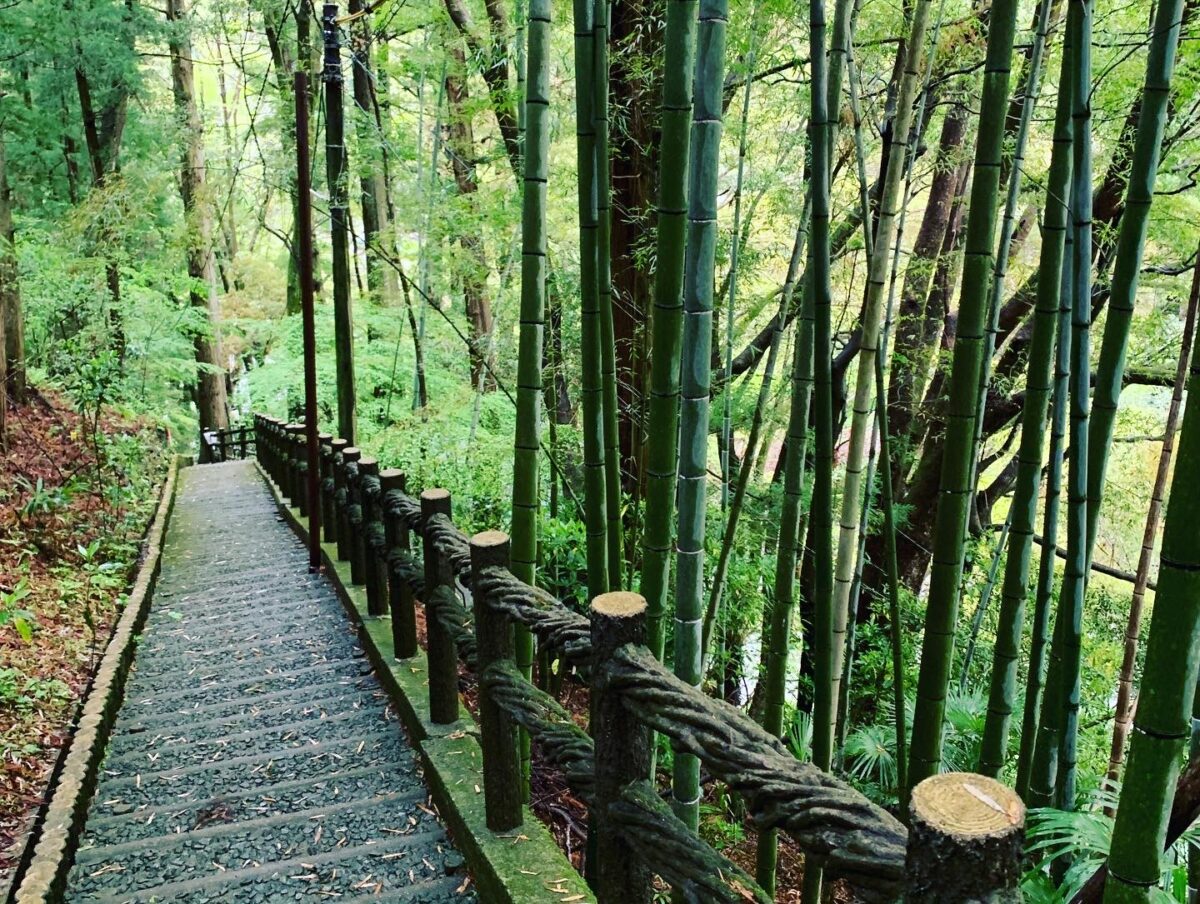 祖谷観光旅館 photo