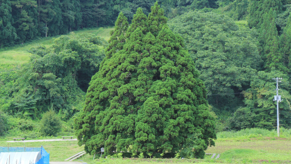 松葉荘 photo
