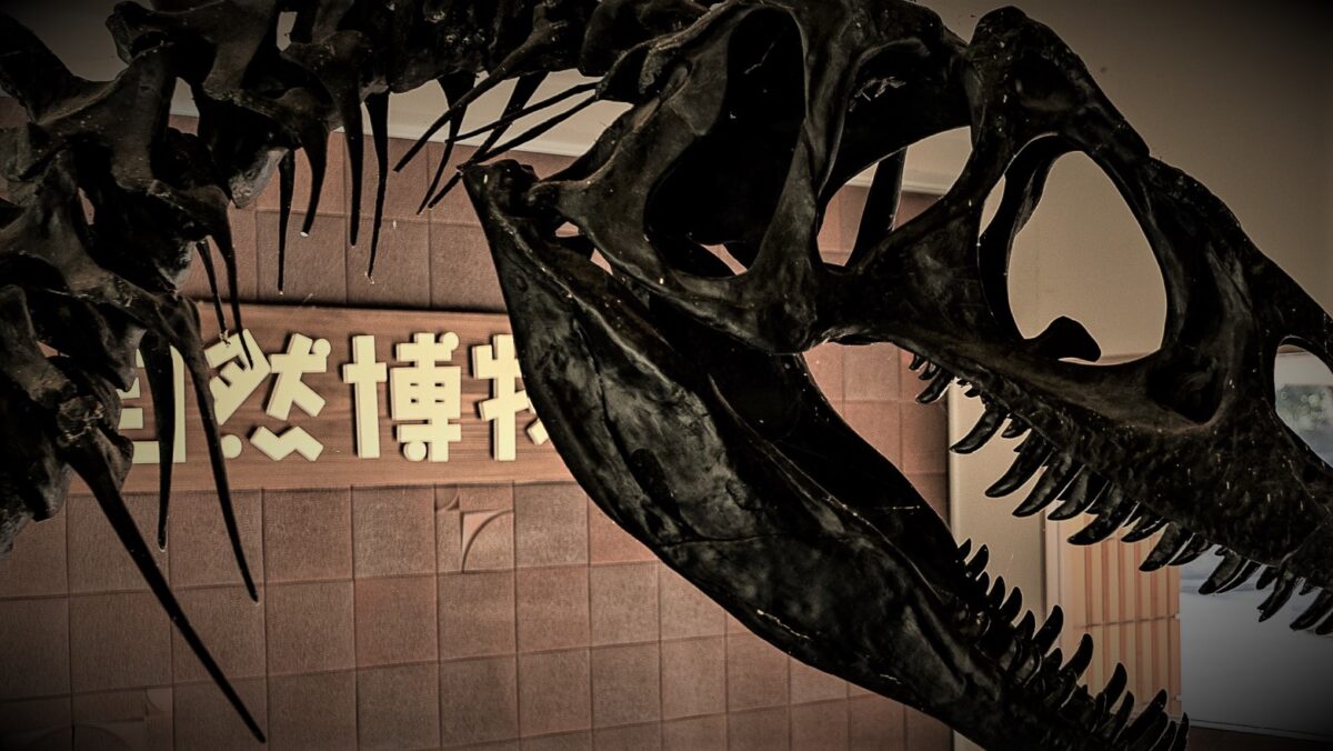 奥出雲多根自然博物館 photo