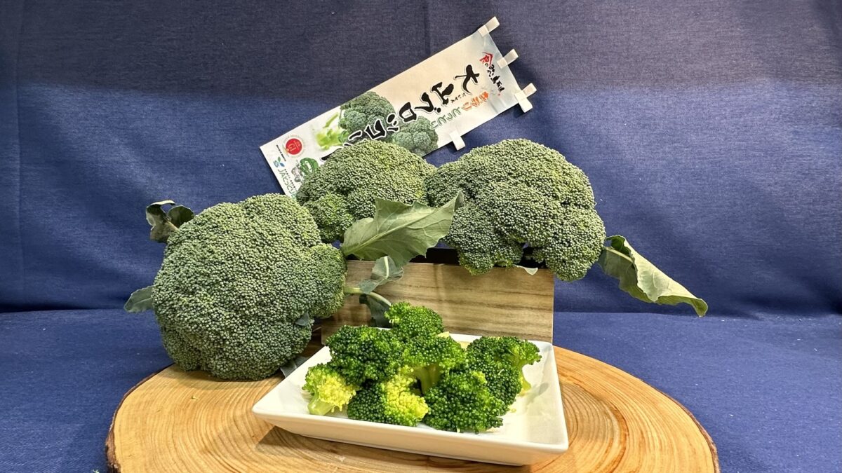 *【朝食一例大山山麓で育った、甘みと旨味が凝縮されたブロッコリー