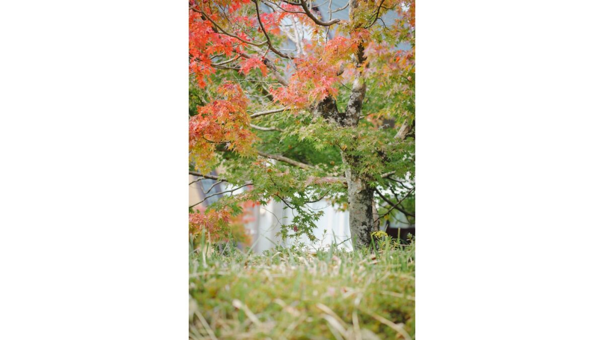 とりごえ温泉 栖の宿 photo