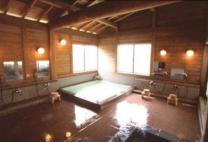 草津温泉 日新館 photo