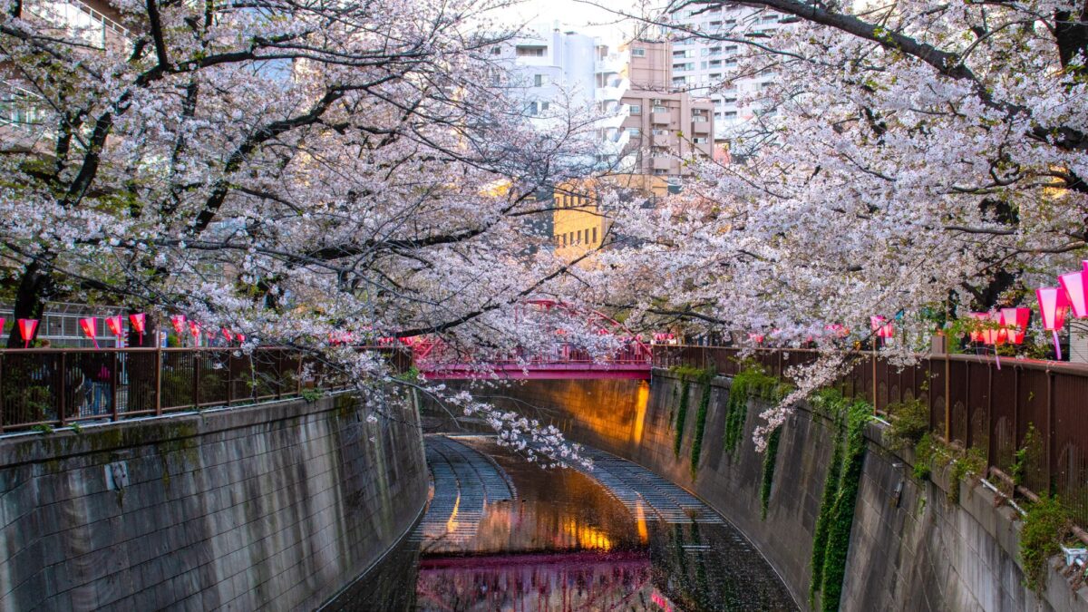 東急ステイ目黒・祐天寺 photo