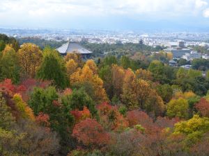 ＡＮＤＯ ＨＯＴＥＬ 奈良若草山（ＤＬＩＧＨＴ ＬＩＦＥ ＆ ＨＯＴＥＬＳ） photo