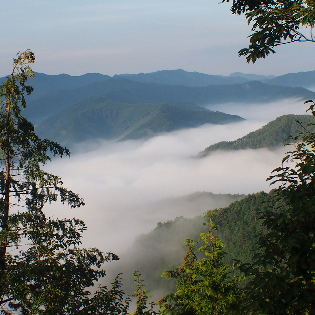 野迫川温泉 ホテルのせ川 photo