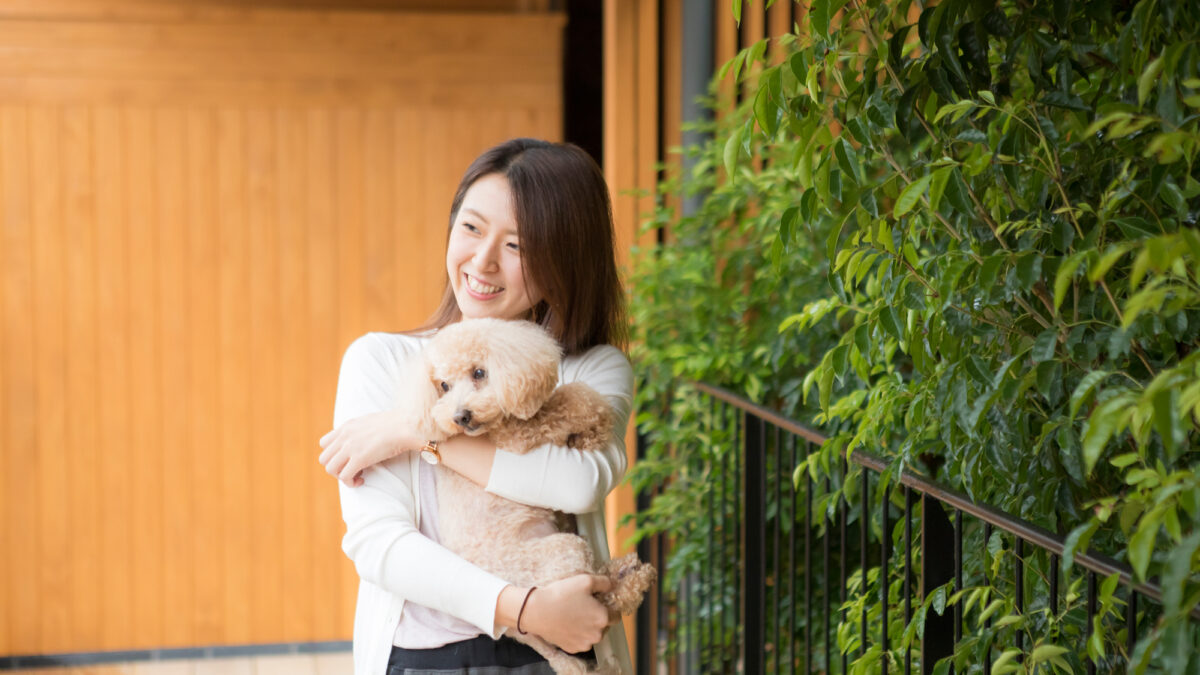 洲本溫泉 海の飯店 島花 / Sumoto Onsen Umi no Hotel Shimahana photo