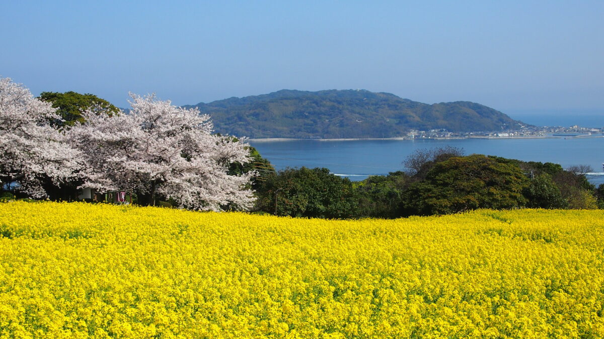 ＪＲ九州ホテル ブラッサム博多中央 photo