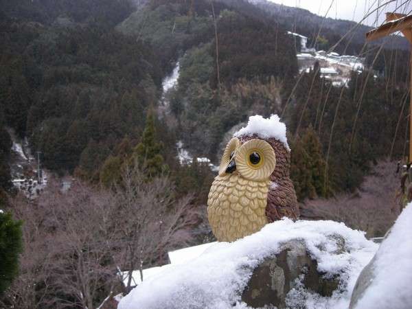 祖谷の宿 かずらや photo