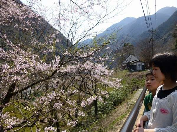 祖谷の宿 かずらや photo