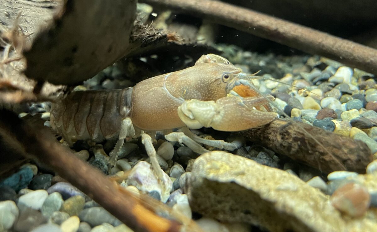 北の大地の水族館