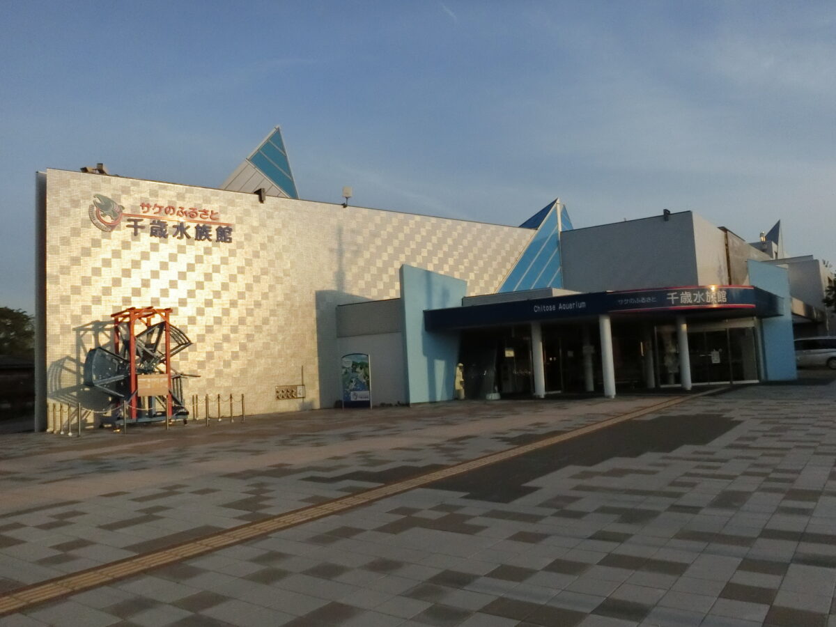 サケのふるさと千歳水族館