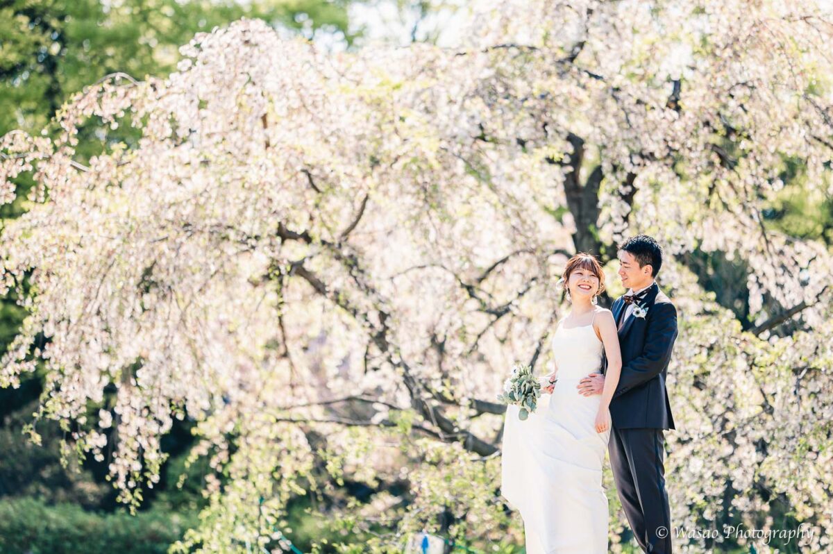 Wasao Photography｜桜の梅小路公園での洋装前撮り