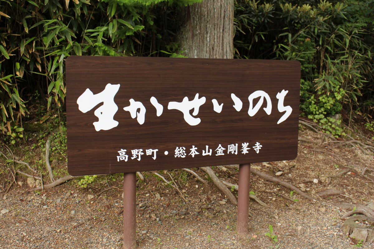金剛峯寺