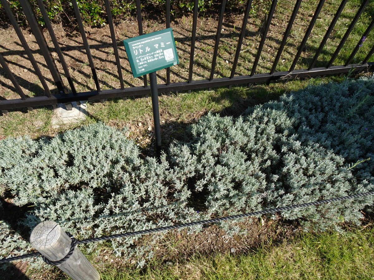 ふなばしアンデルセン公園