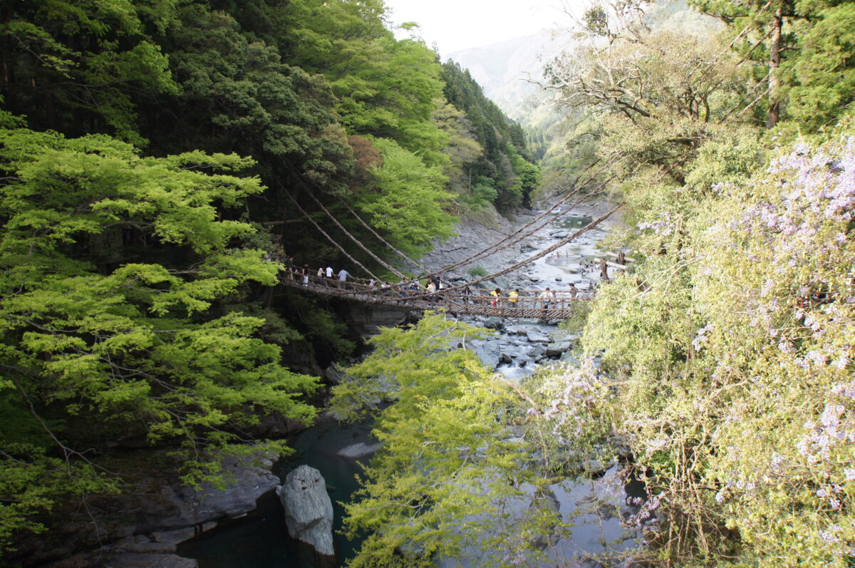 祖谷のかずら橋