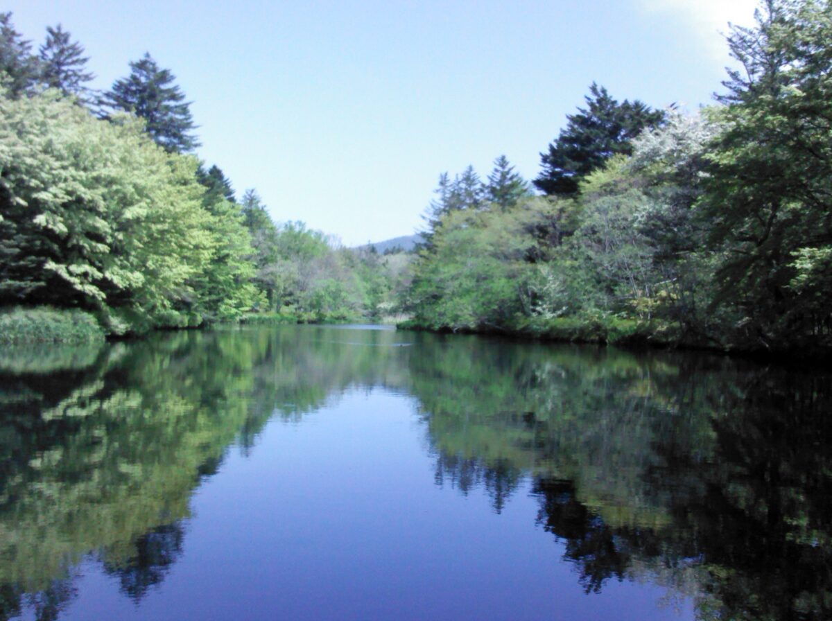 雲場池