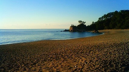 桂浜