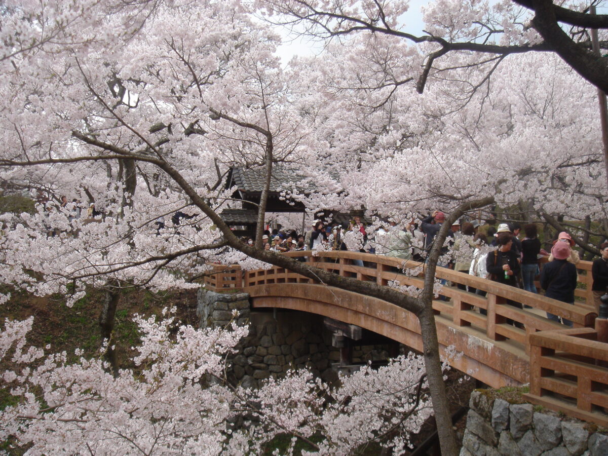 高遠城址公園