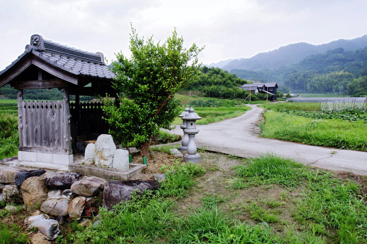 山の辺の道