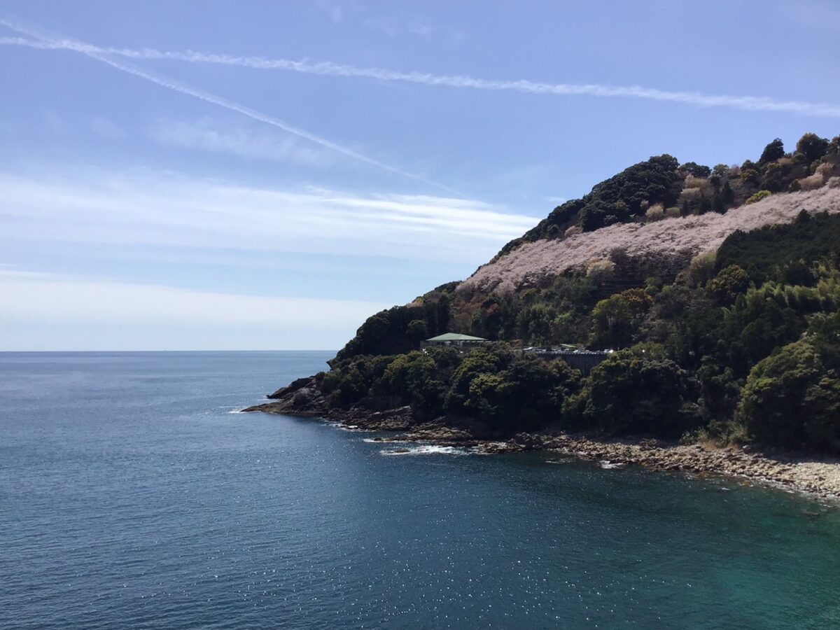 ホテルなみ photo