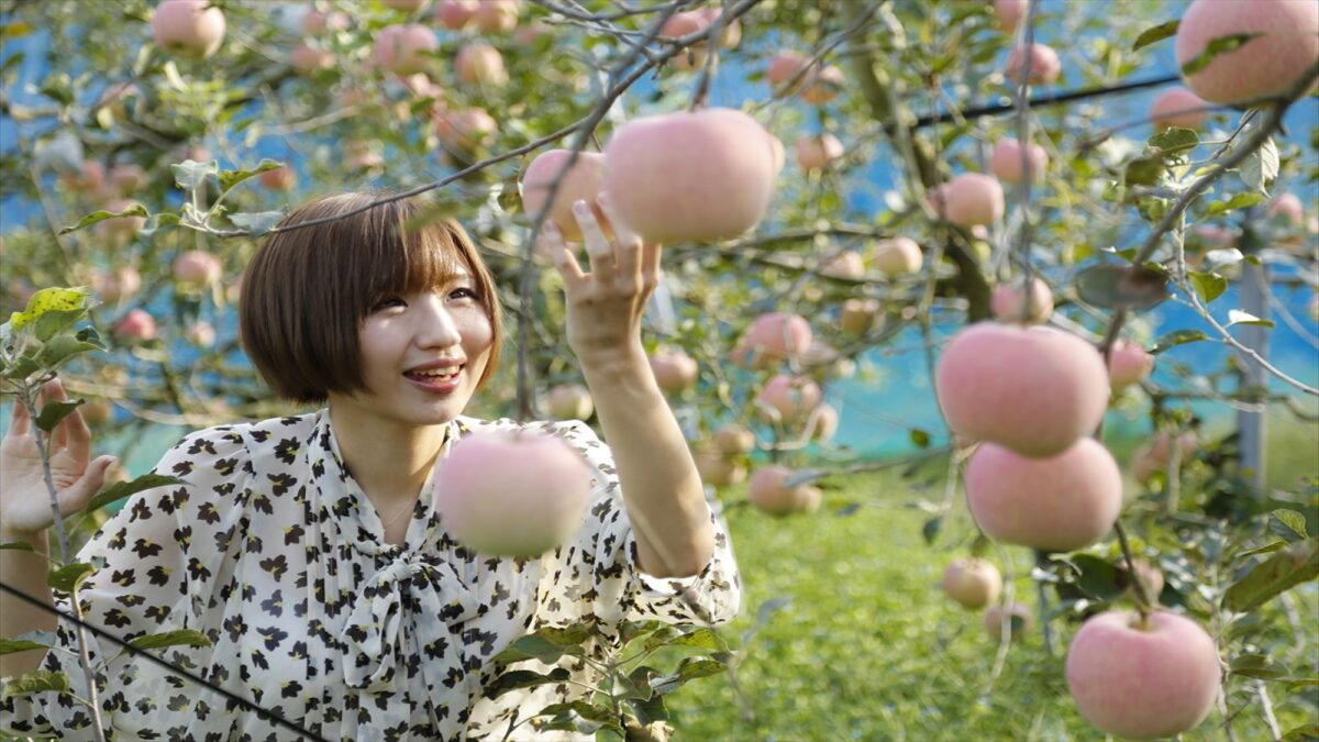 柿本家 photo