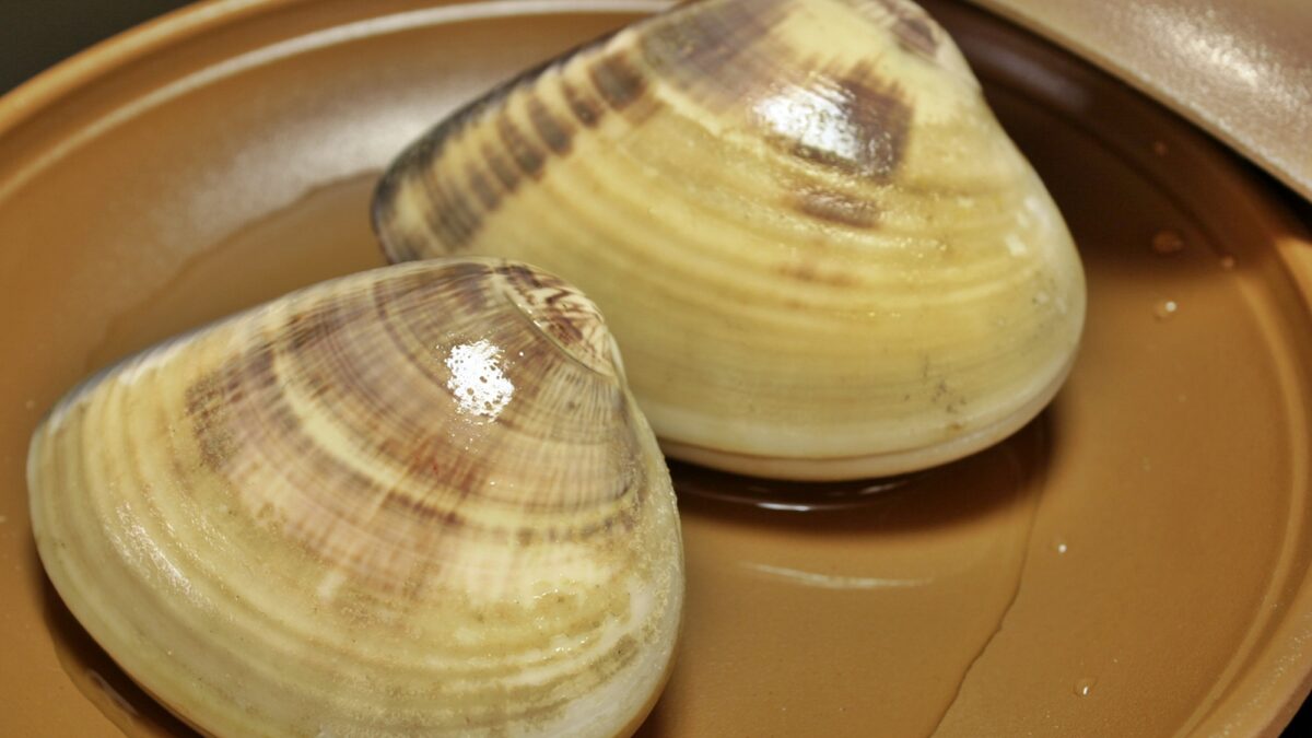 民宿浜野屋 photo