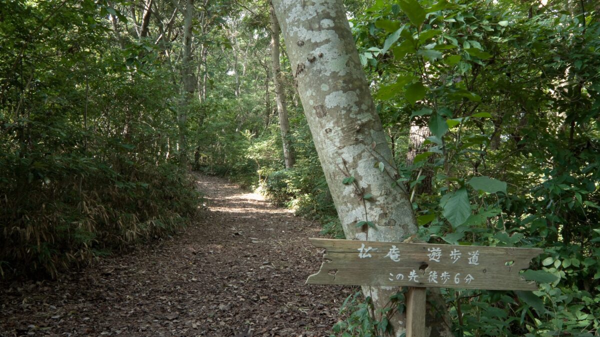 松島佐勘 松庵 / Matsushima Sakan Shoan photo