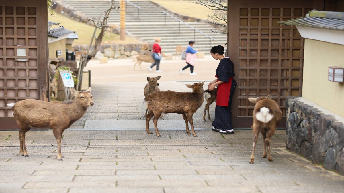 古都の宿 むさし野 photo