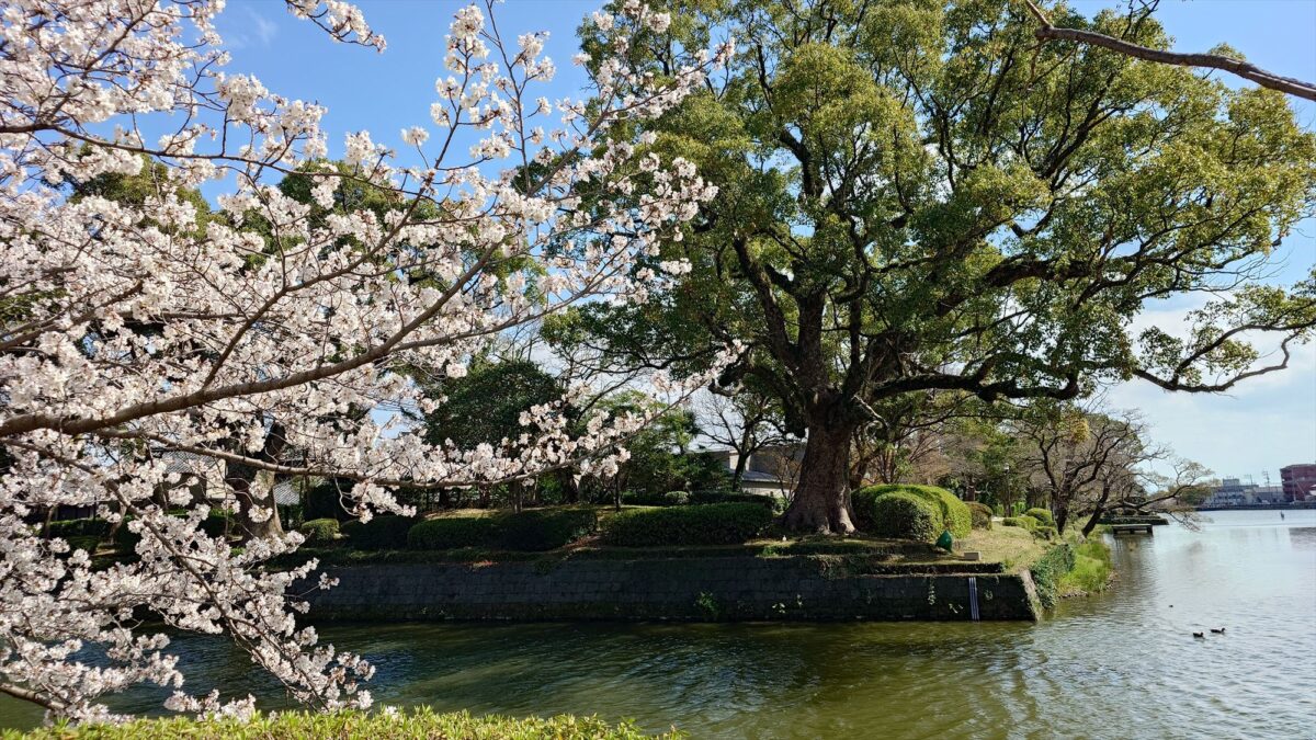 ホテルニューオータニ佐賀 photo