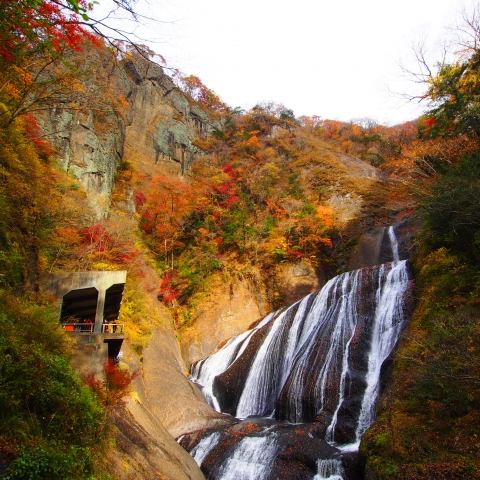 元湯 山田屋旅館 / Motoyu Yamadaya Ryokan photo