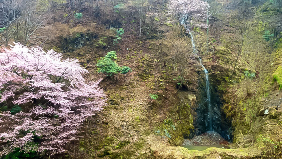 野迫川温泉 ホテルのせ川 photo