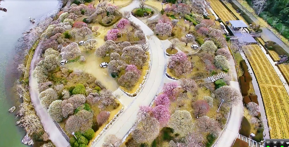 ＪＲホテルクレメント宇和島 photo