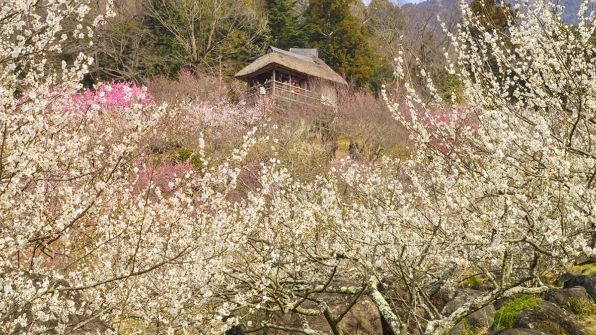 ホテル日航つくば photo