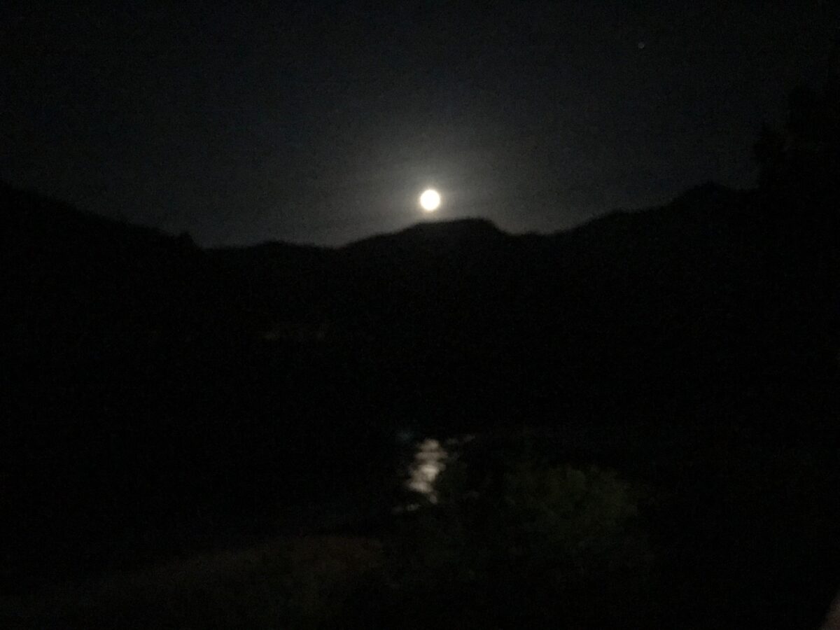まごころの宿 丸井 photo