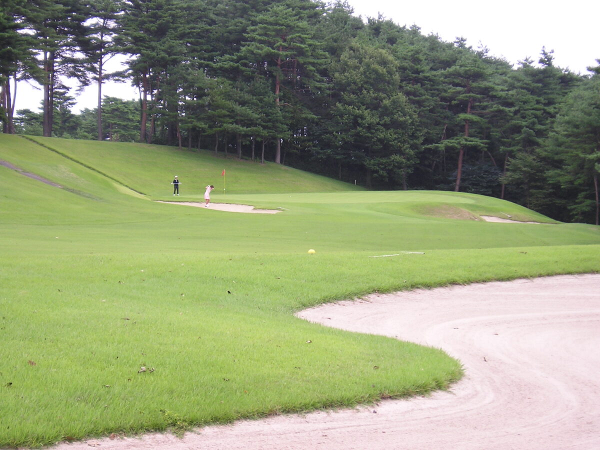 永岡温泉 夢の湯 photo