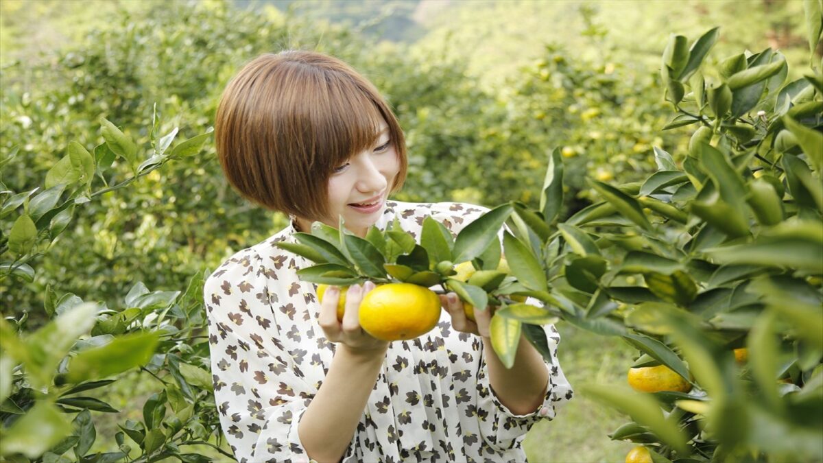 柿本家 photo