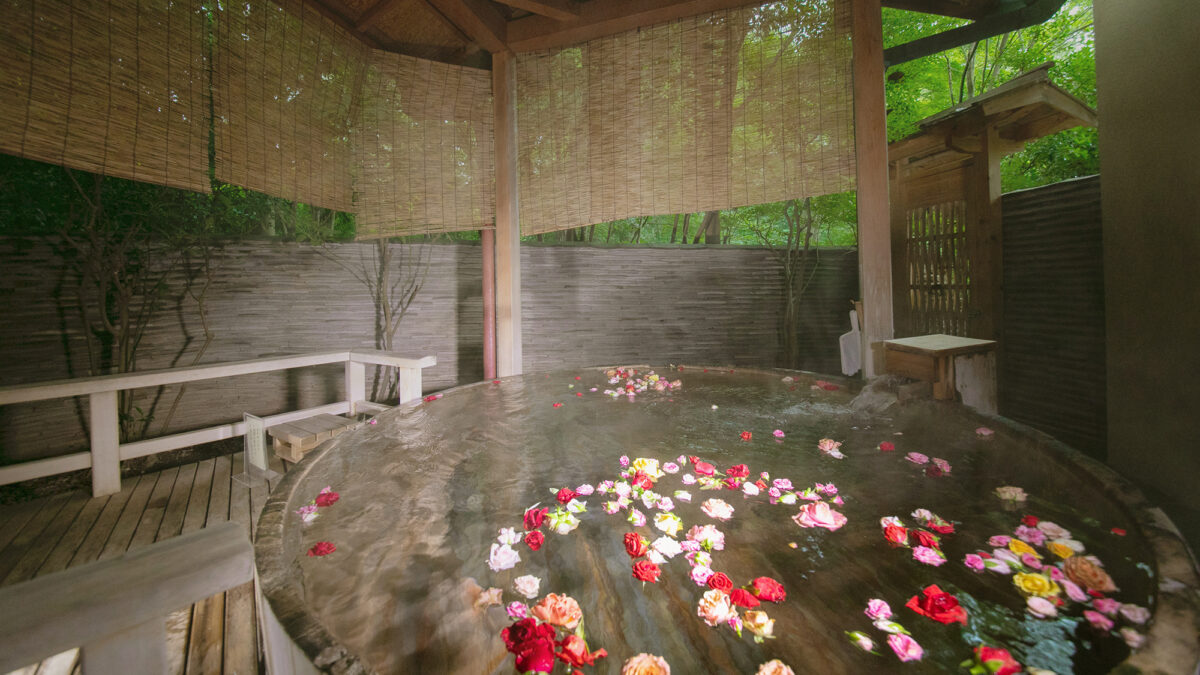 松島佐勘 松庵 / Matsushima Sakan Shoan photo