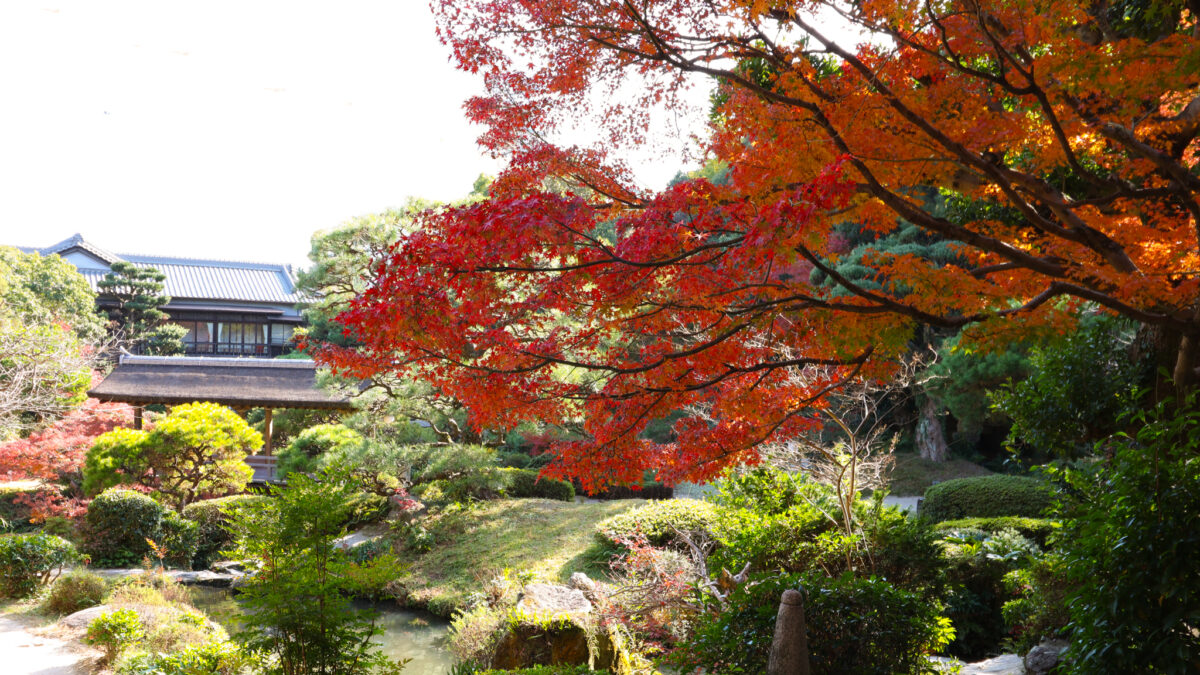 二日市溫泉 大丸別荘 / Futsukaichi Hot Spring Daimaru Besso photo