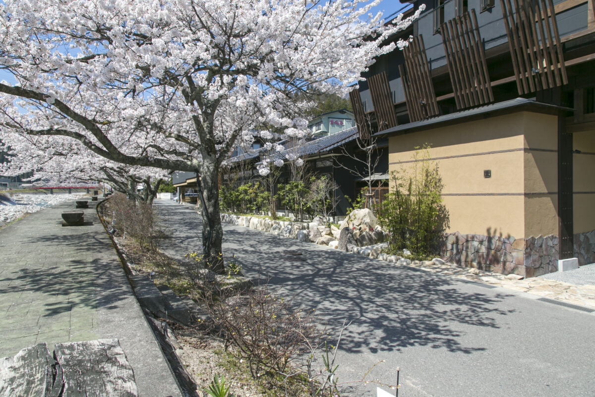 昼神の棲 玄竹 photo