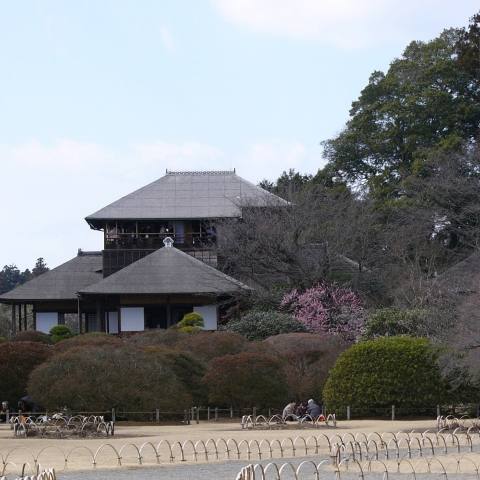 元湯 山田屋旅館 / Motoyu Yamadaya Ryokan photo