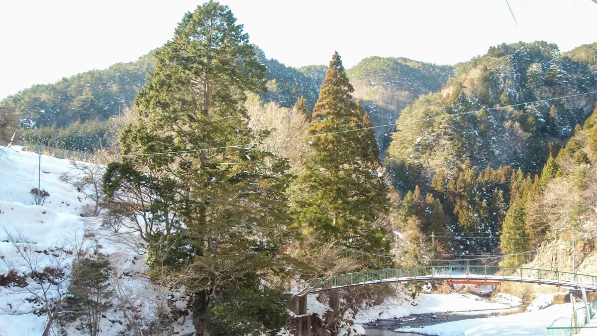野迫川温泉 ホテルのせ川 photo