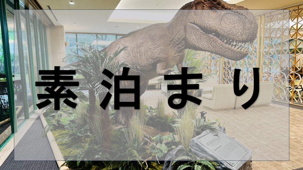 ピックアッププラン