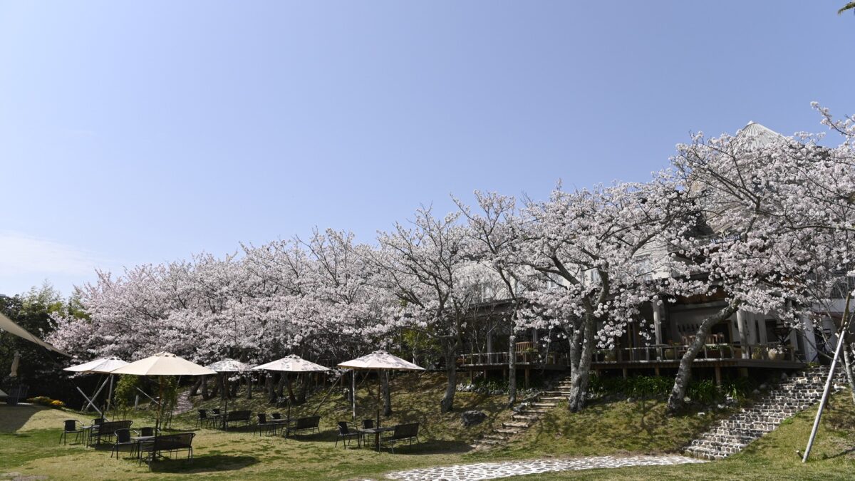 リゾートホテル モアナコースト photo