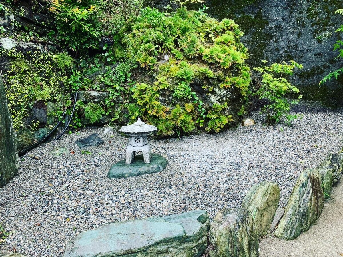 祖谷観光旅館 photo