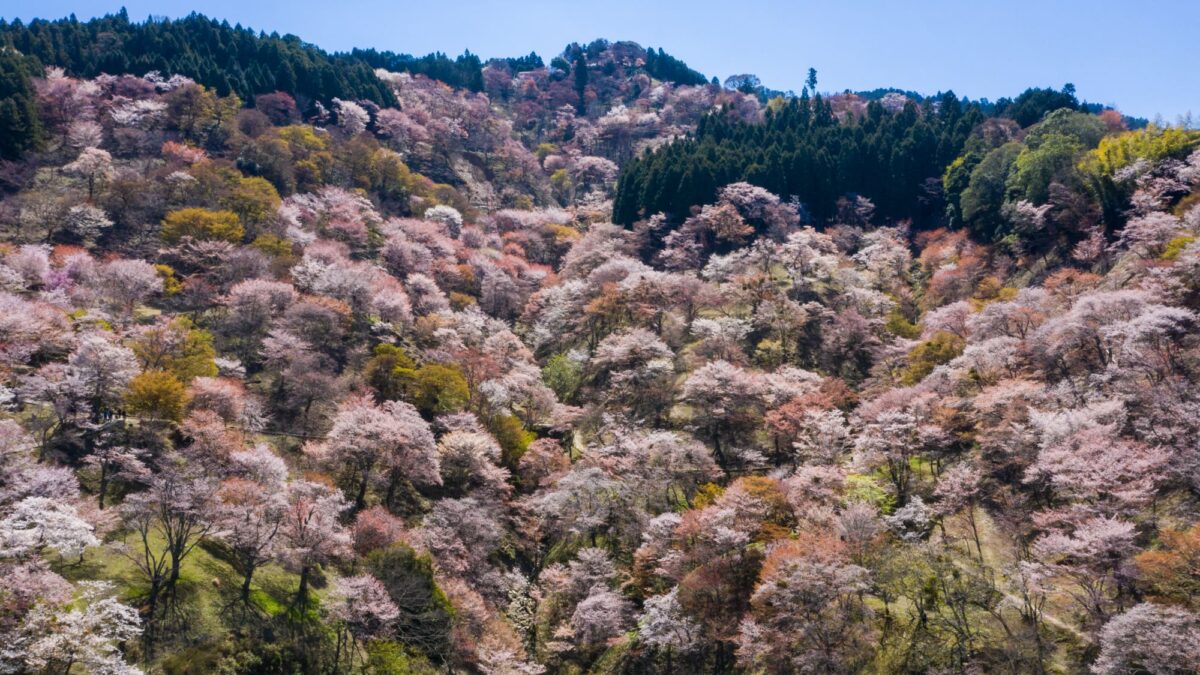 ホテル日航奈良 photo