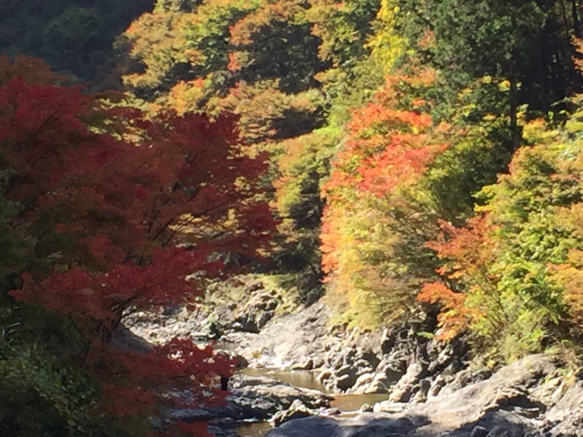 民宿かわらび荘 photo